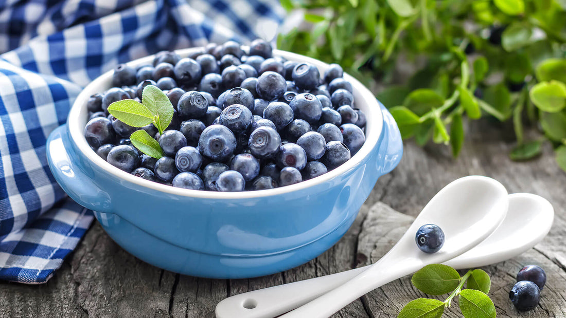 Heidelbeere – alles, was du über Heidelbeeren wissen musst!