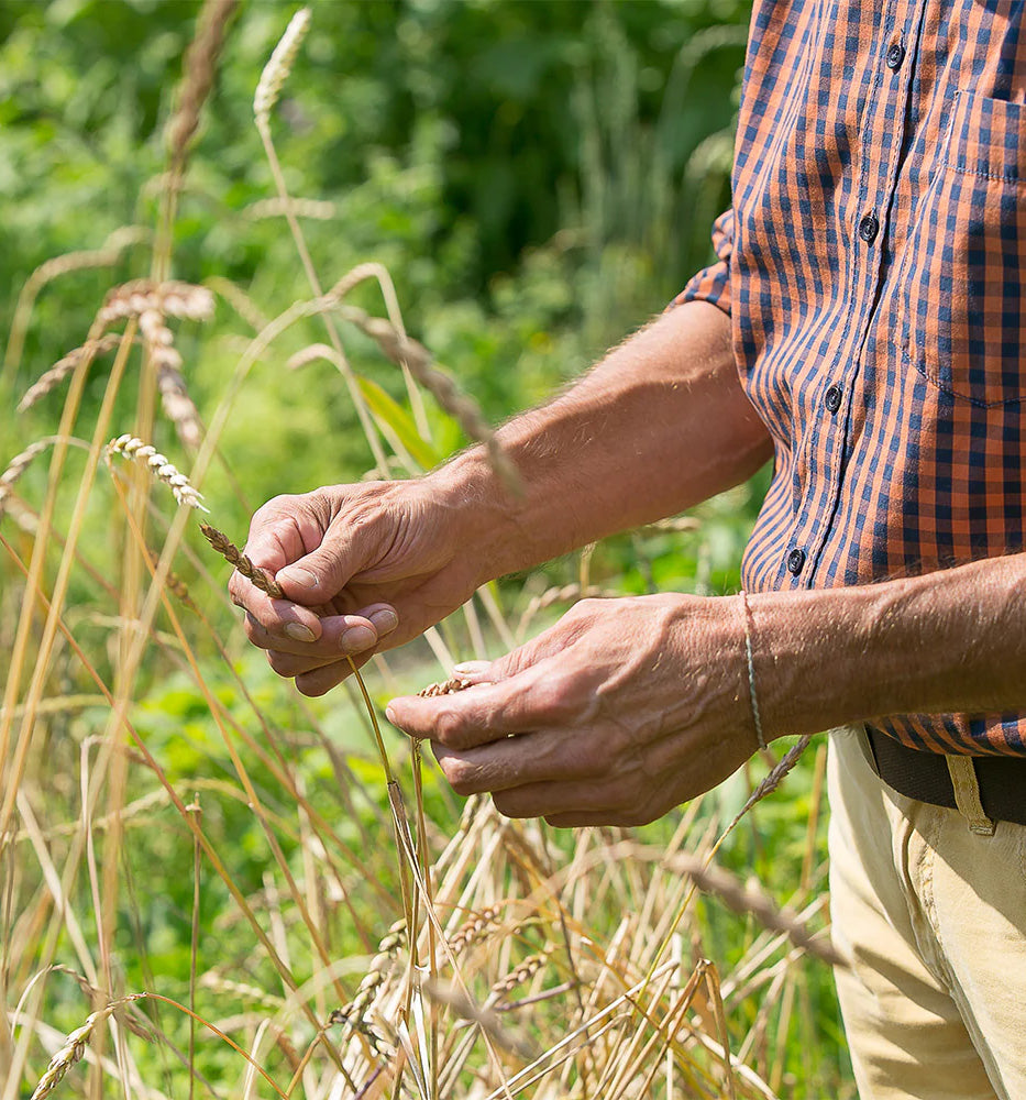 Zertifikate Bio Landwirtschaft